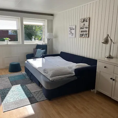 Appartement Stor Og Sentral Leilighet. Kort Vei Til Flyplass.