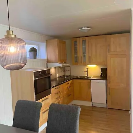 Stor Og Sentral Leilighet. Kort Vei Til Flyplass. Appartement *